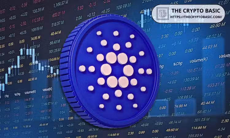 Billionaire Tim Draper Highlights a Major Opportunity for Cardano Ecosystem Founders