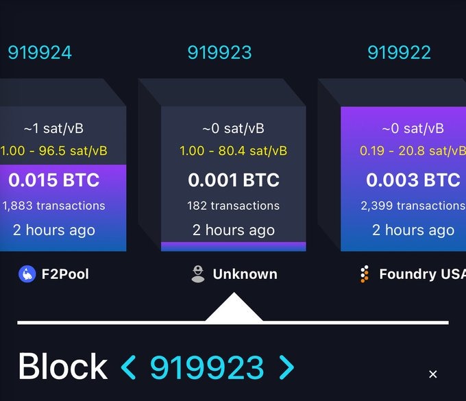 Solo Bitcoin Miner Hits the Jackpot Wins $347,000 Block Reward

