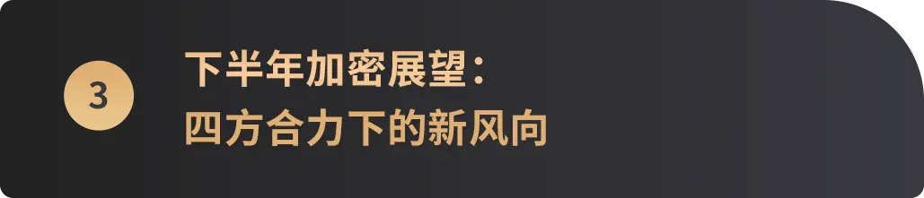 2025上半年落幕，哪些主线将成就下半年“加密新引擎”？