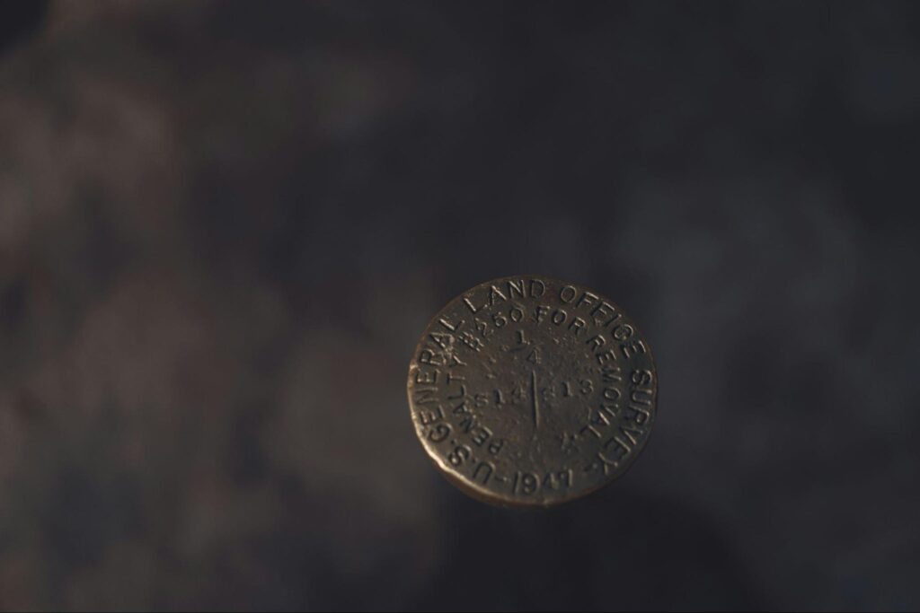 coin5245