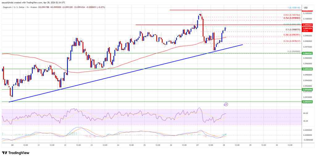 Dogecoin (DOGE) Trends Higher, Larger Gains Could Be Ahead