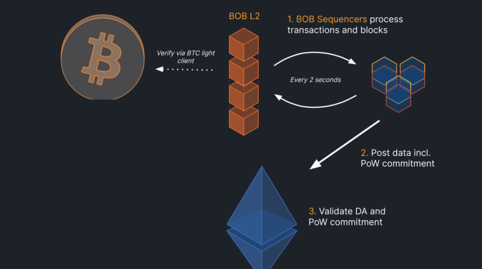 盘点VC入局的五大热门BTC相关公链