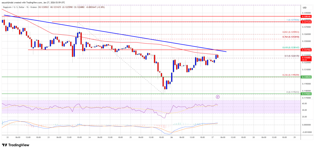 Dogecoin (DOGE) Bulls Make A Move — Then Slam Into Resistance