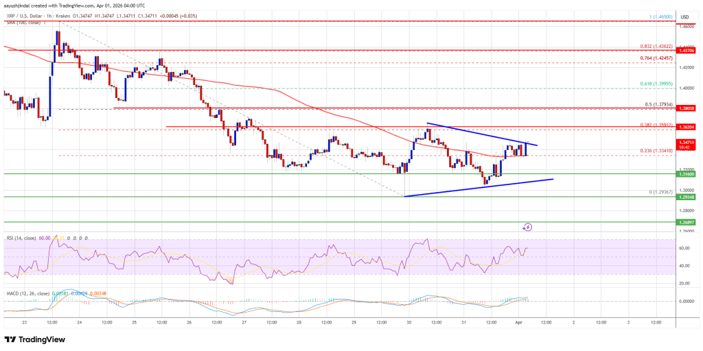 XRP Price Meets Resistance, Tough Challenge Caps Upside Momentum