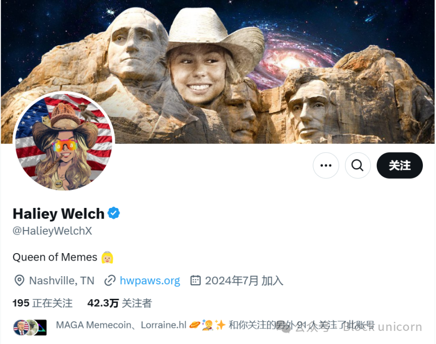 代币3小时暴跌91%，Hailey Welch如何从Meme女王到Meme币牺牲品？