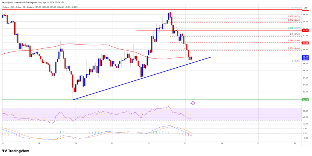 Solana (SOL) Strength Fades, Will Bulls Regain Momentum Soon?
