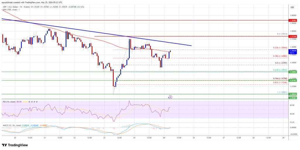 XRP Price Maintains Key Floor, Market Awaits Next Major Move