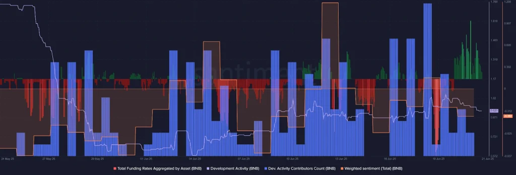 BNB On Chain Data