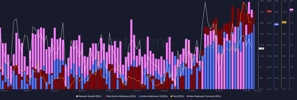Solana Price Analysis: February Sets Up a Breakout or a Structural Failure
