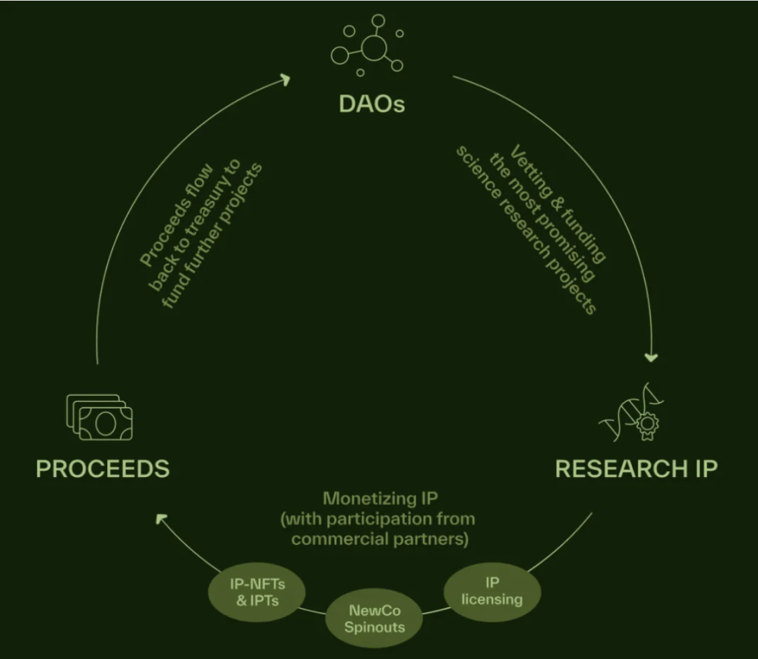 解构BIO Protocol：最大的DeSci基础设施，众多BIO子网共建生态繁荣