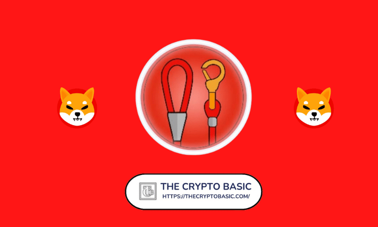 Shiba Inu Shares Crucial Update on LEASH V2 Migration
