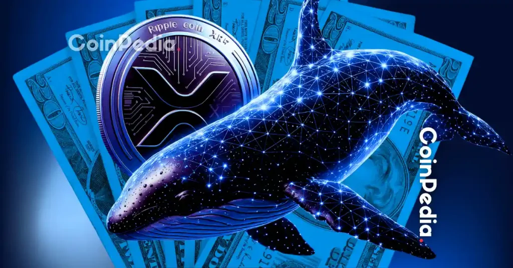 XRP Rich List Sees Major Whale Accumulation