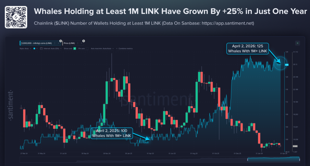 Chainlink Price Stalls as Whale Accumulation Quietly Builds Momentum
