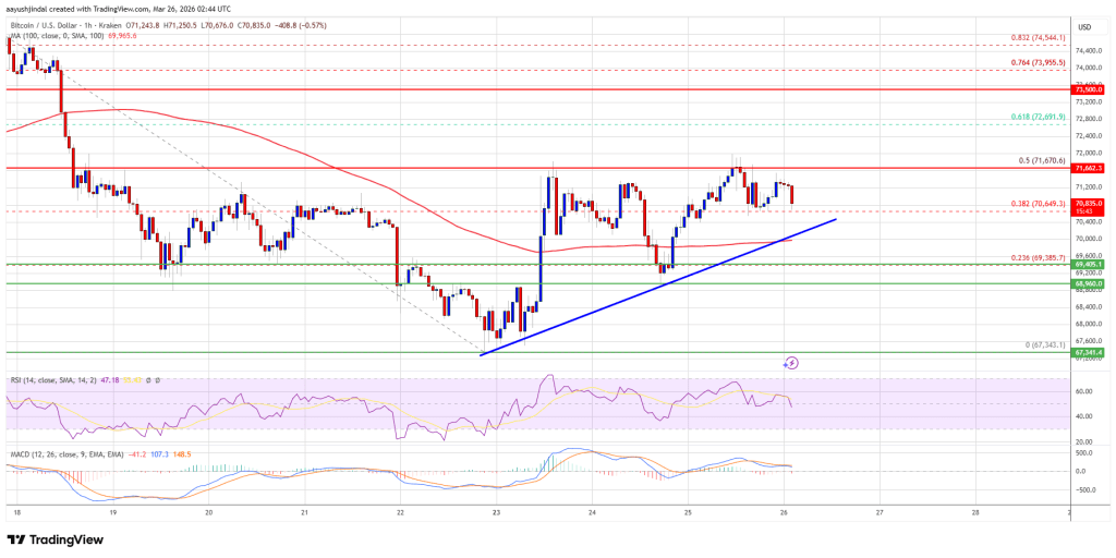 Bitcoin Price Hits Barriers, Can Bulls Overcome Key Resistance Levels?