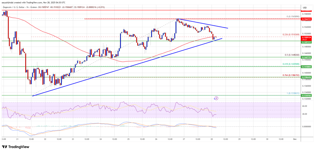 Dogecoin (DOGE) Pauses After Gains, Setting Up for a Possible Sharp Move