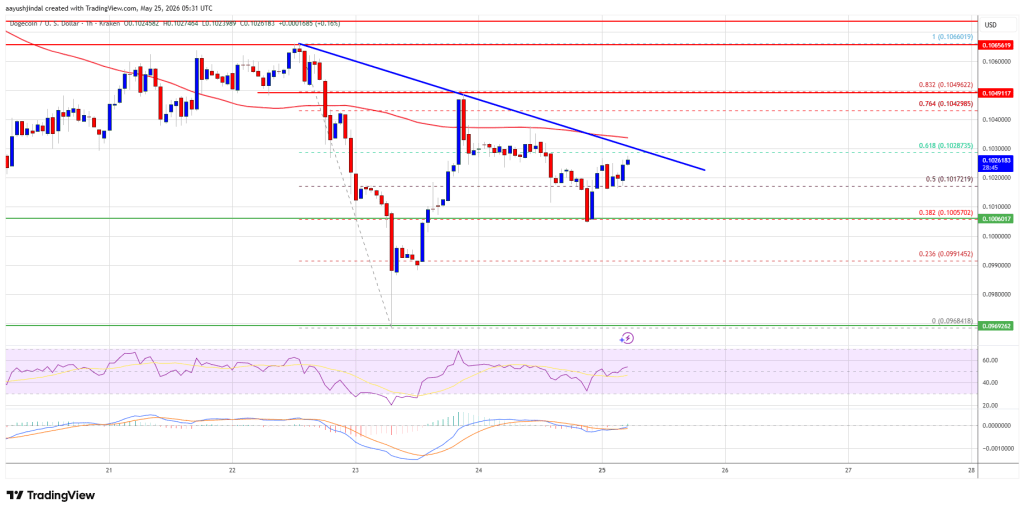 Dogecoin (DOGE) Bounce Under Threat As Resistance Caps Further Gains