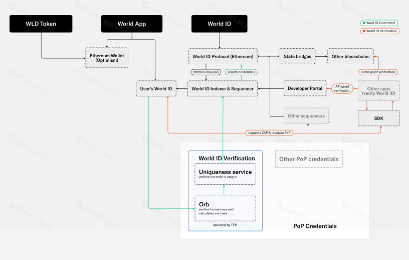 WLD 单日拉升 40%，数字身份赛道再起波澜