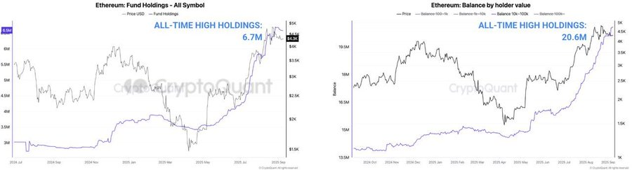 Ethereum fund holding & balance