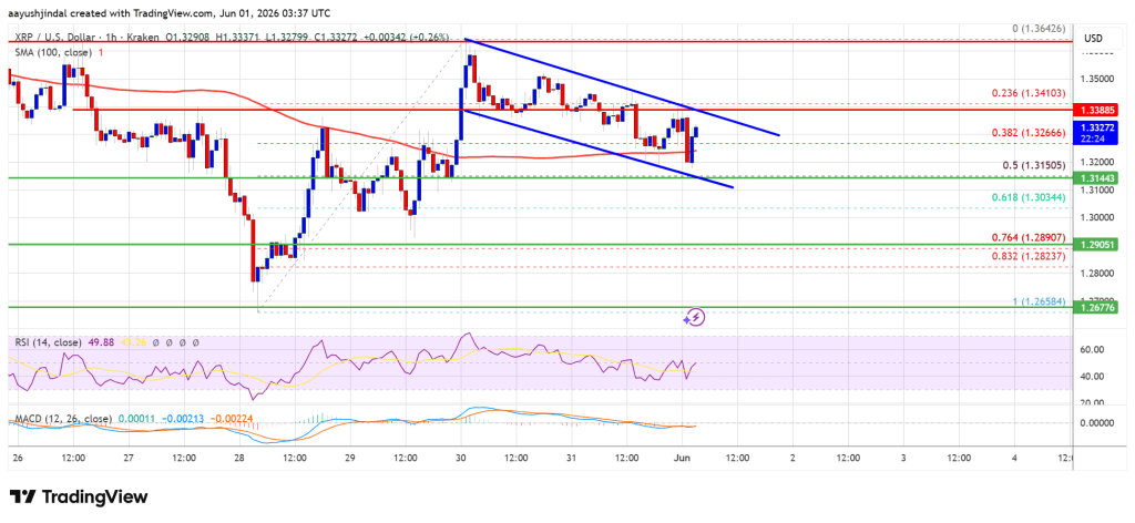 XRP Price Loses Ground As Bearish Pressure Quietly Builds