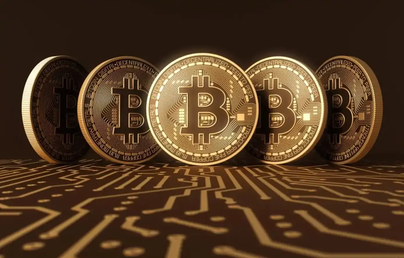 累跌超 50%，比特币为何反弹？