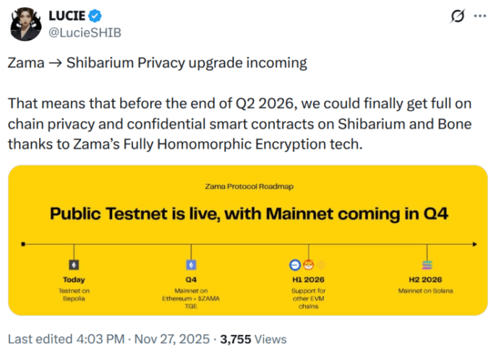 Best Meme Coins To Buy Before the Shibarium 2026 Privacy Upgrade