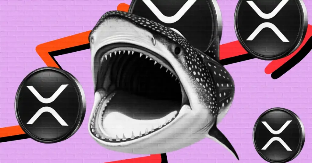 XRP Sees Major Liquidations While Whales Begin Accumulating Again