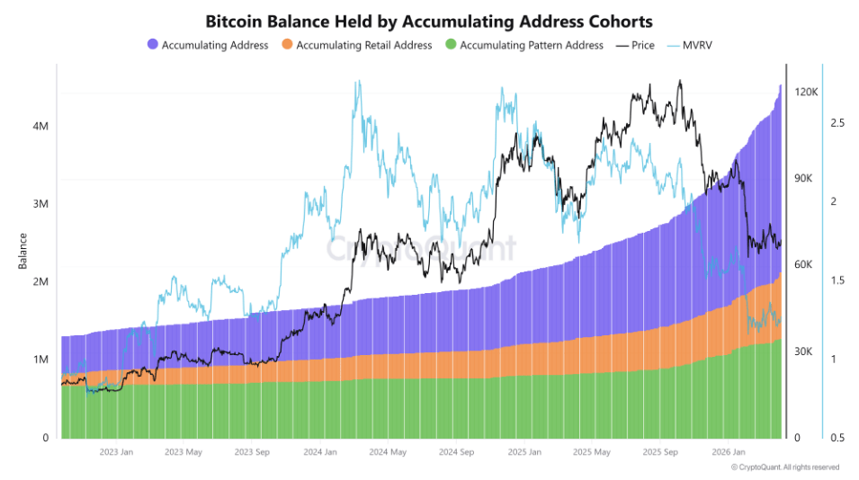 Accumulation Mode? Bitcoin Holders Quietly Amass 4.37M BTC As Bull Signal Emerges