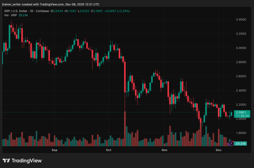 Analysts Split on XRP Future Outlook as Centralization Debate Intensifies