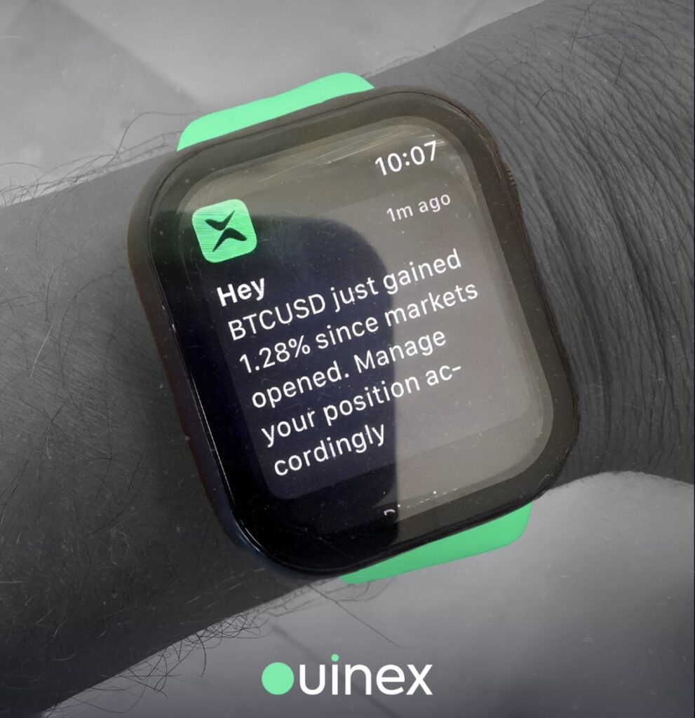 Ouinex 538358 2
