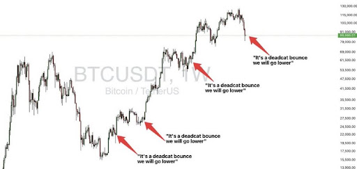 Bitcoin Dead Cat Bounce: Analyst Reveals What To Expect As Price Recovers
