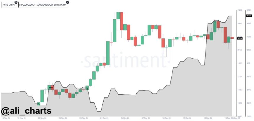 XRP Whales Loading Up – Data Reveals Buying Activity