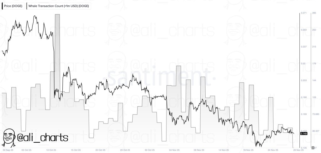 Dogecoin Whale Activity Drops To Deepest Level In Two Months