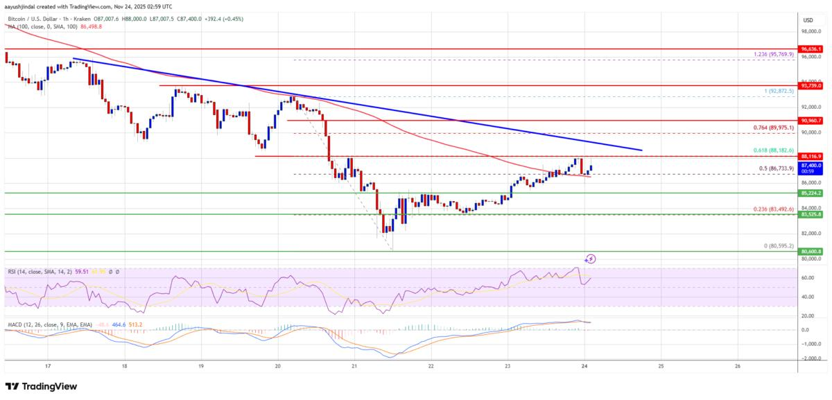 Technical Gauges Point to Further Downside as Bitcoin Clings to Key Support