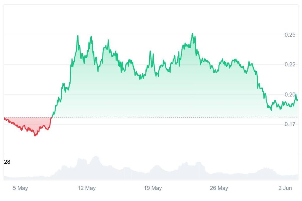 doge chart