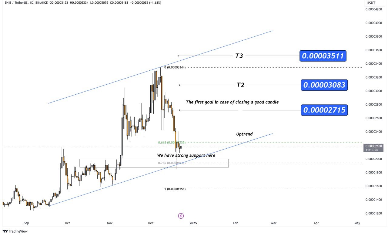 Here Are Key Shiba Inu Levels to Watch After Drop to $0.00001853