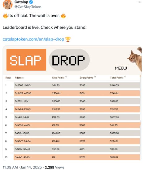 Catslap, le légendaire meme coin, frappe fort avec 100 000 USDT en jeu pour récompenser les 10 meilleurs du classement Slapdrop ! ??