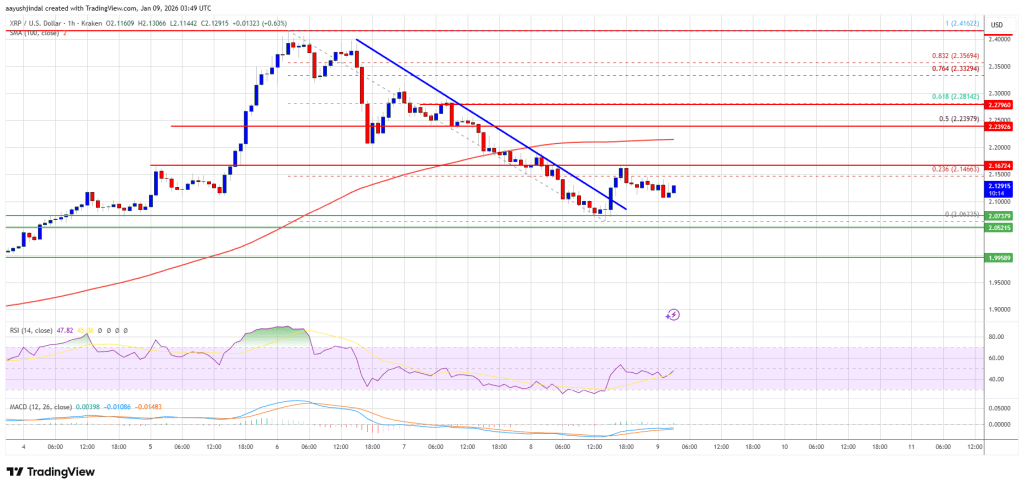 XRP Price Pushes for Gains, Resistance Keeps the Market Guessing