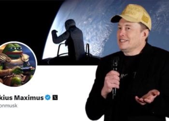 馬斯克X改名回Elon Musk，Kekius Maximus、PEPE 相關迷因幣大跌