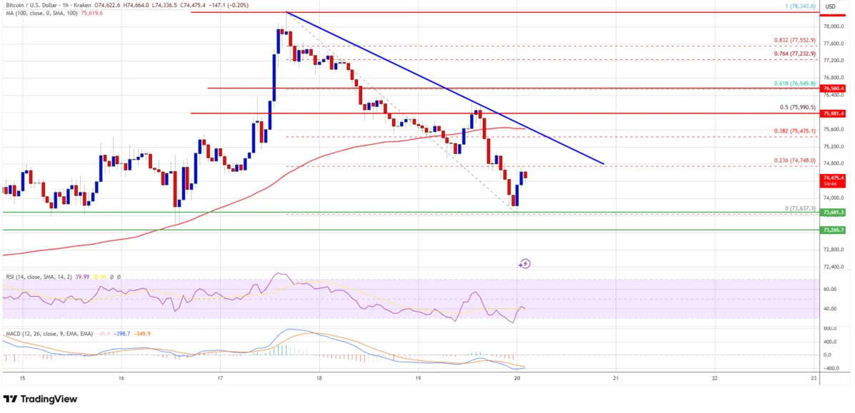 Bitcoin Loses Momentum, But Bullish Bets Remain