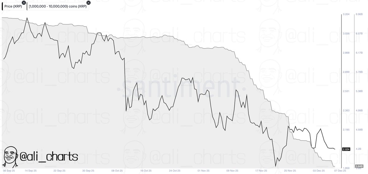 XRP Selloff: Whales Shed Coins Worth $1 Billion In A Week