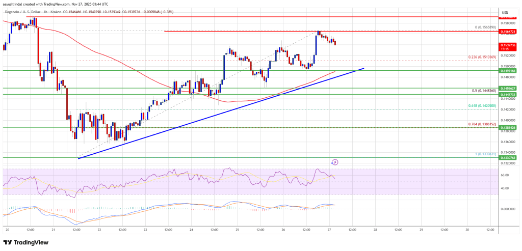 Dogecoin (DOGE) Shows Controlled Strength as Traders Eye Key Resistance Above