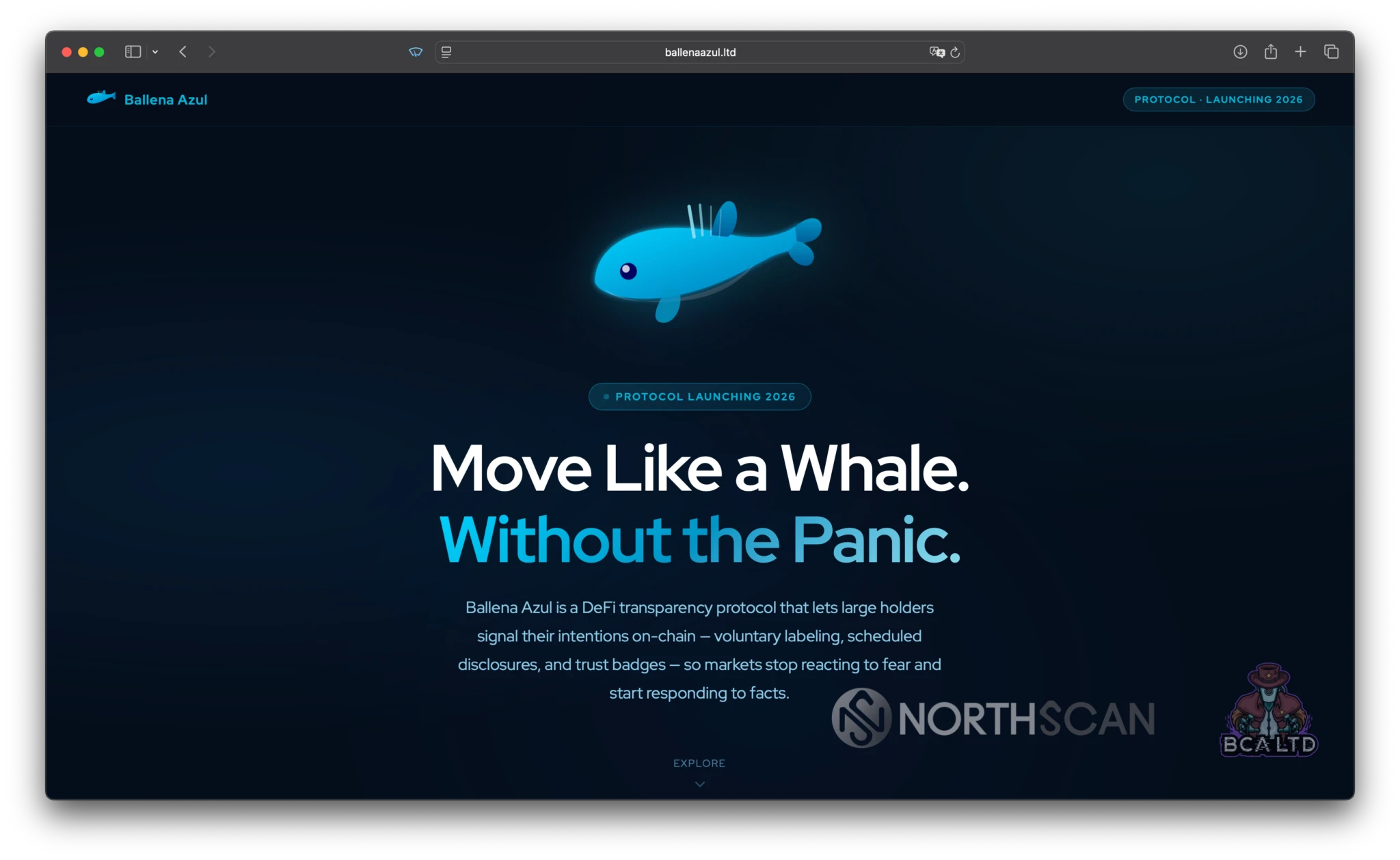 Ballena Azul LTD / Blue Whale LTD Website