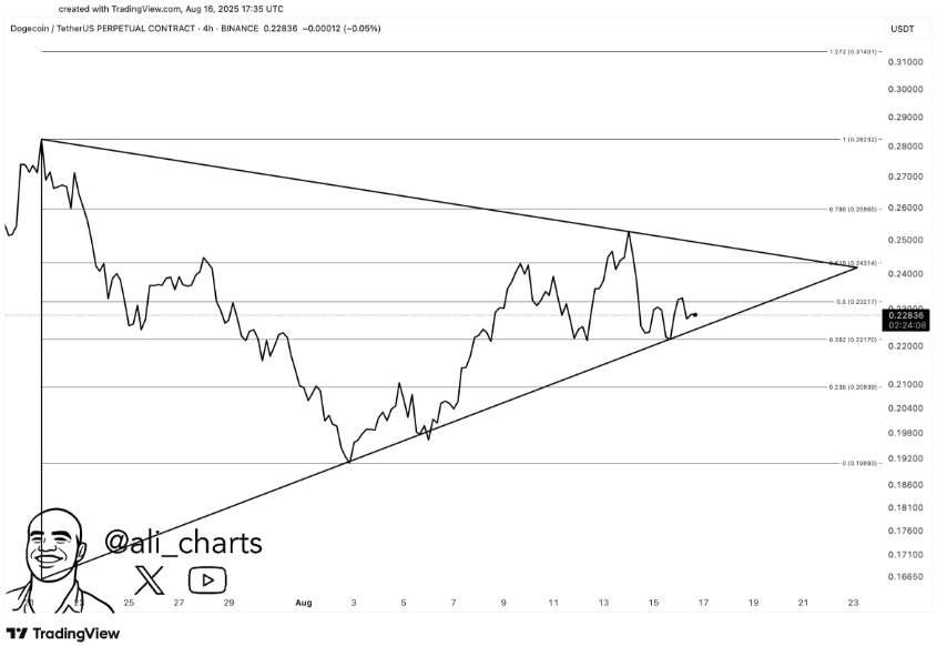 Dogecoin chart by Ali Martinez