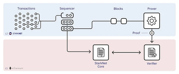 排序器（Sequencer）的原理、现状及未来