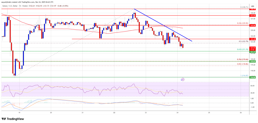 Solana (SOL) At Risk of Fresh Bearish Wave, Traders Turn Cautious