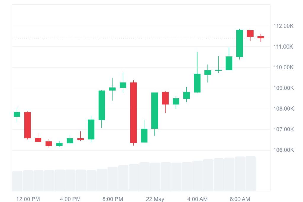BTC Price Analysis Chart