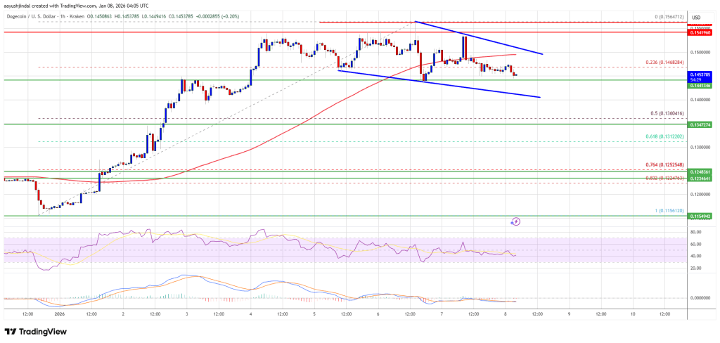 Dogecoin (DOGE) Consolidates Strength, Calm Before Another Move?