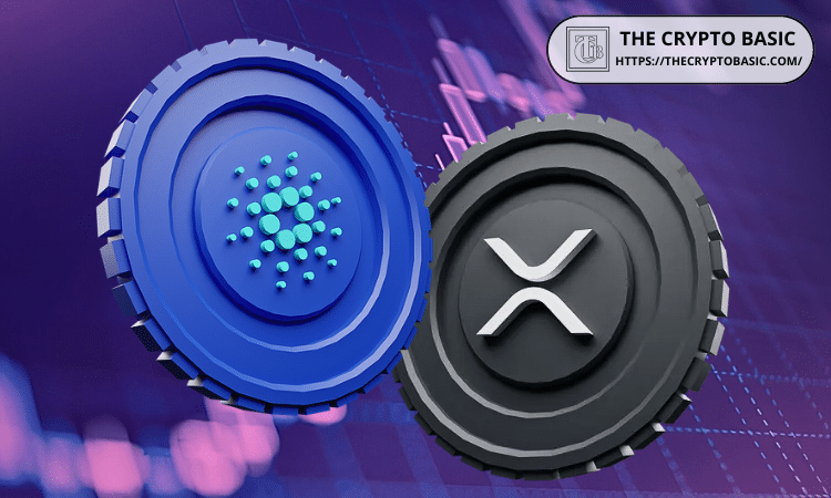 CoinMarketCap Puts XRP and Cardano in ISO 20022 Token Category