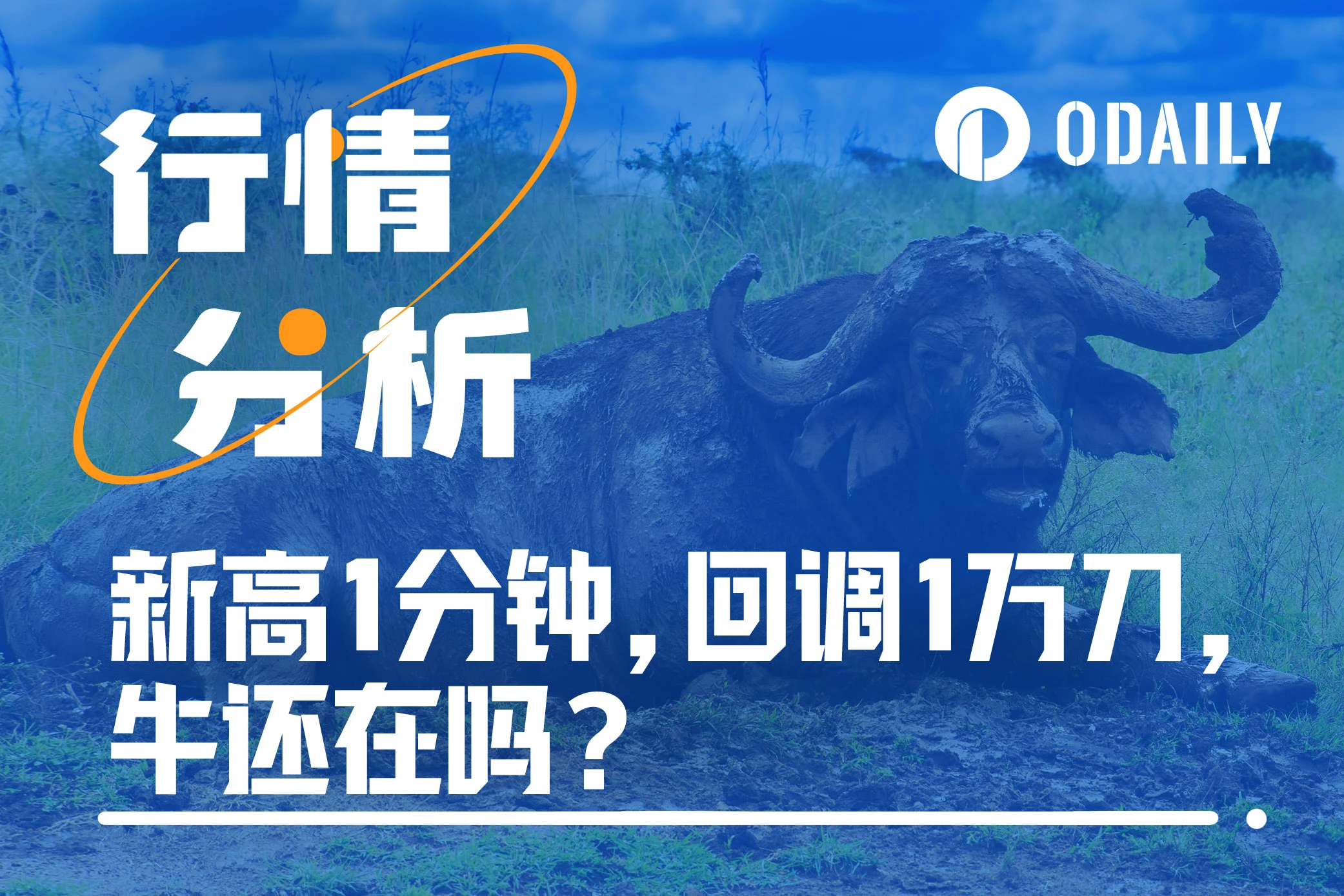 比特币新高1分钟，闪崩回调1万美元，牛还在吗？