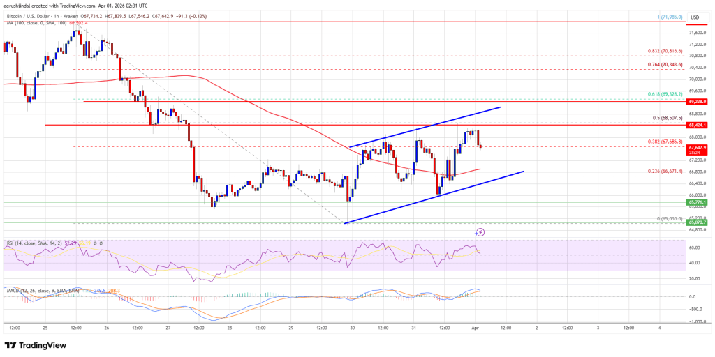 Bitcoin Price Recovery at Risk, Sellers Prepare to Reassert Control
